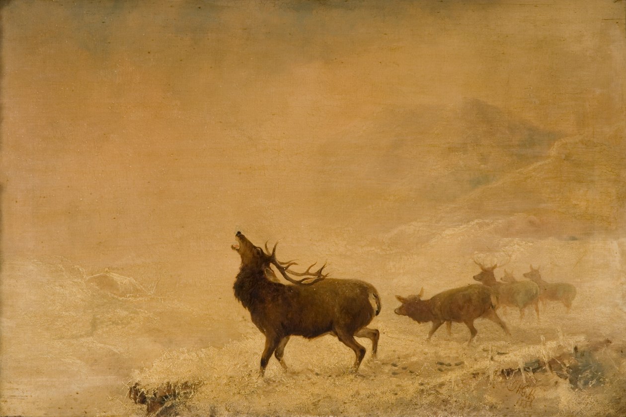 Tak daleko, 1883 autorstwa Thomas Henry Gibb