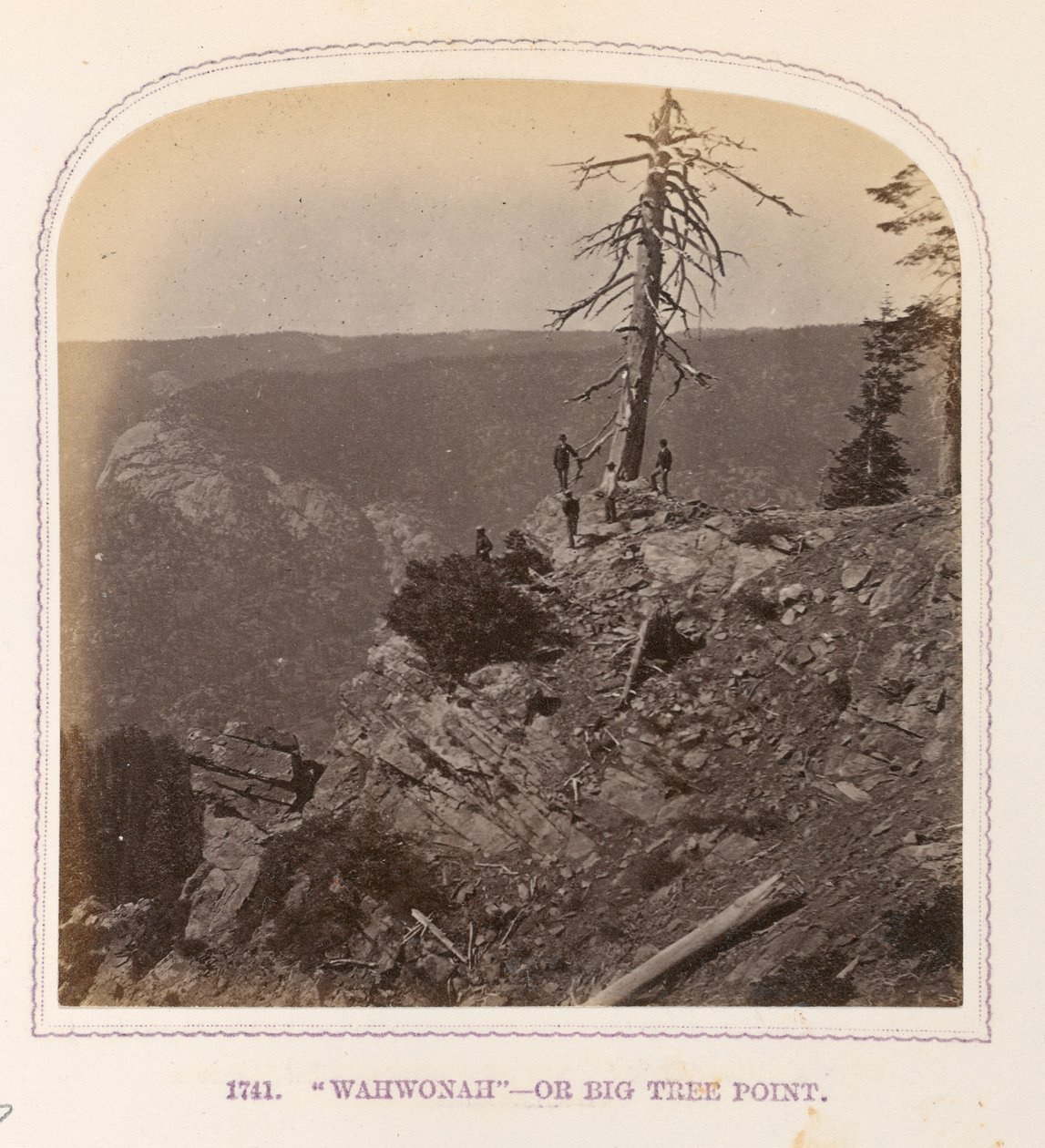 "Wahwonah" - lub Big Tree Point autorstwa Thomas Houseworth