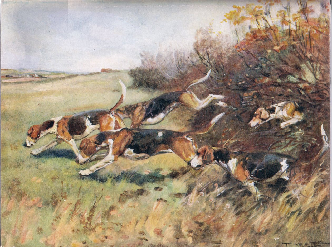 Idąc za zapachem, ilustracja z „Psów” autorstwa Thomas Ivester Lloyd