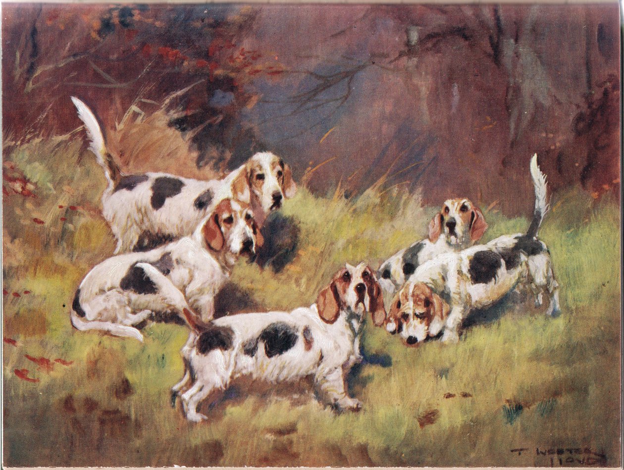 Czekam, ilustracja z „Psów” autorstwa Thomas Ivester Lloyd