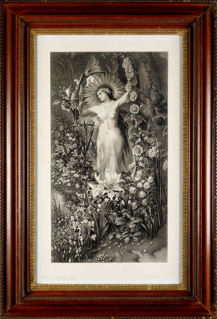 Flora (grawerowanie) autorstwa Thomas Lewis Atkinson