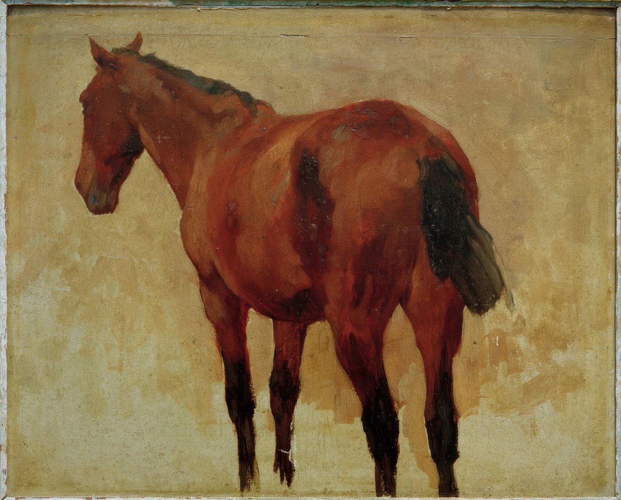 Badanie koni autorstwa Thomas Ludwig Herbst