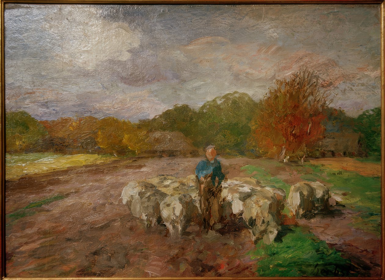 Stado owiec w słońcu autorstwa Thomas Ludwig Herbst