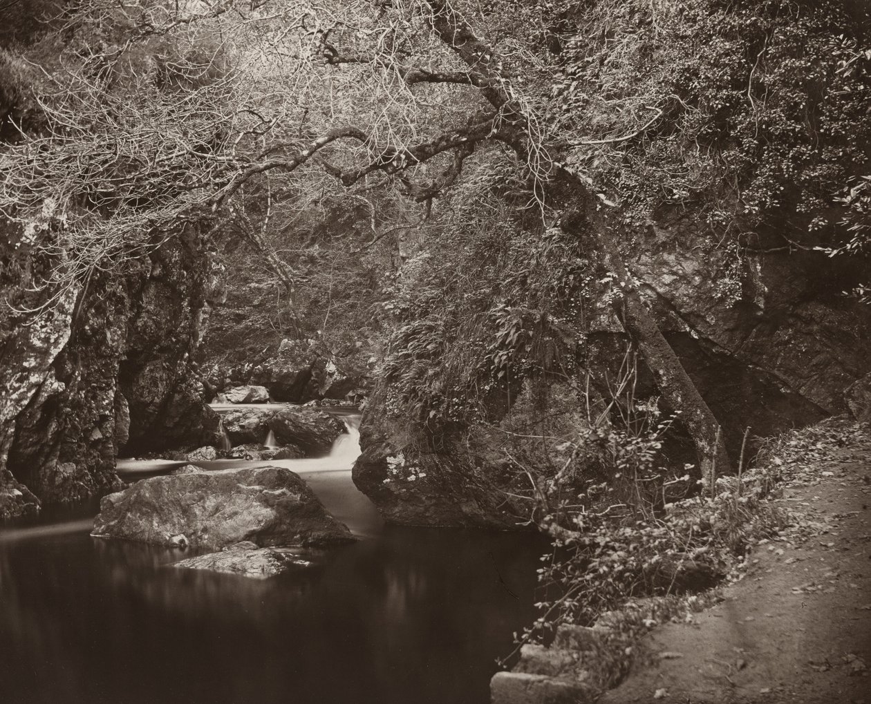 Otwór Dargle