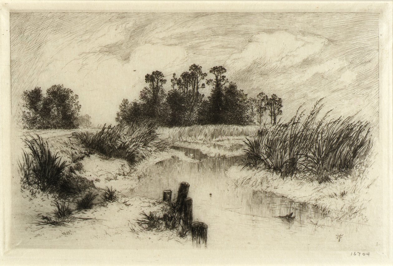 W pobliżu Easthampton, L.I. (Passaic Meadows) autorstwa Thomas Moran