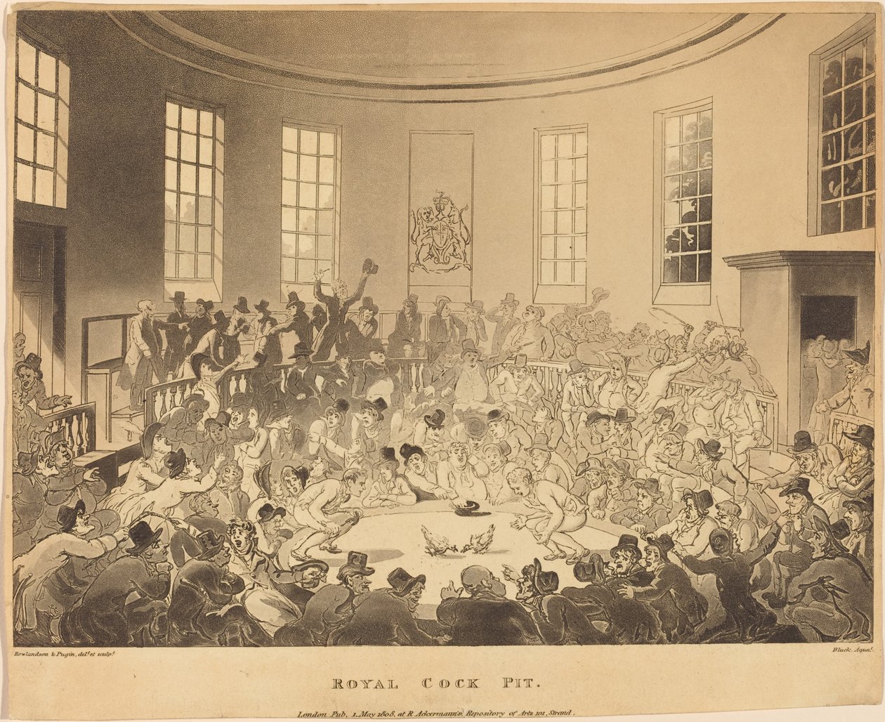 Królewski kokpit autorstwa Thomas Rowlandson