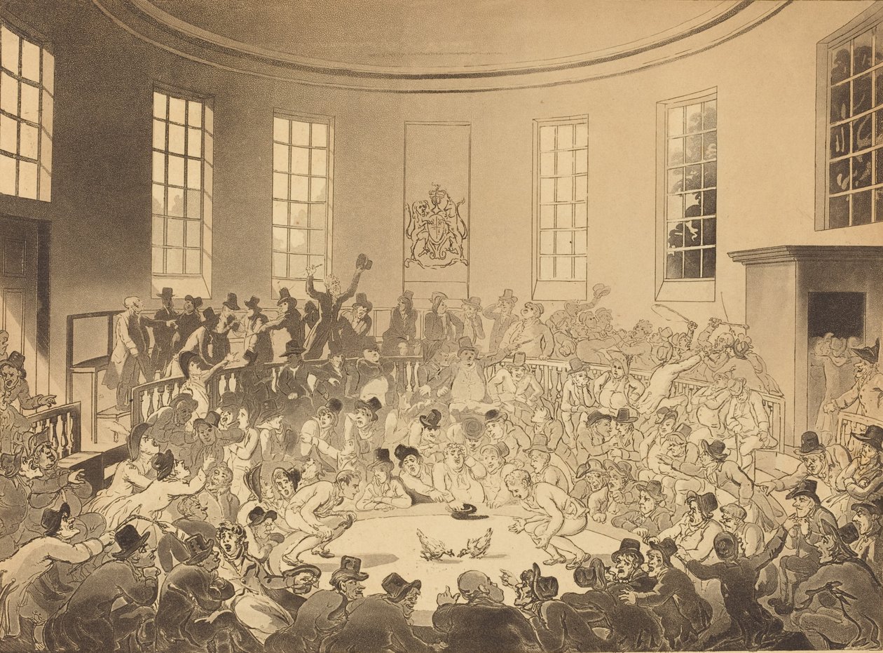Royal Cock Pit, opublikowany w 1808 roku. autorstwa Thomas Rowlandson