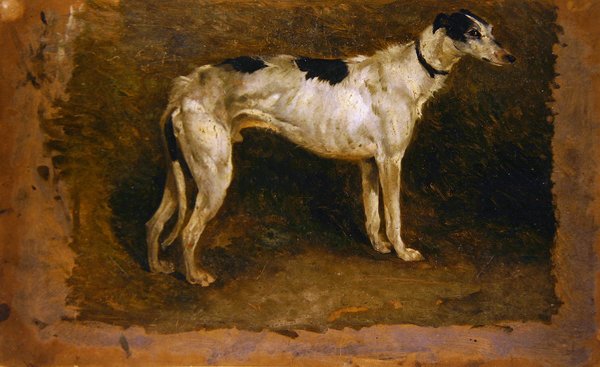 Lurcher (olej na papierze) autorstwa Thomas Sidney Cooper