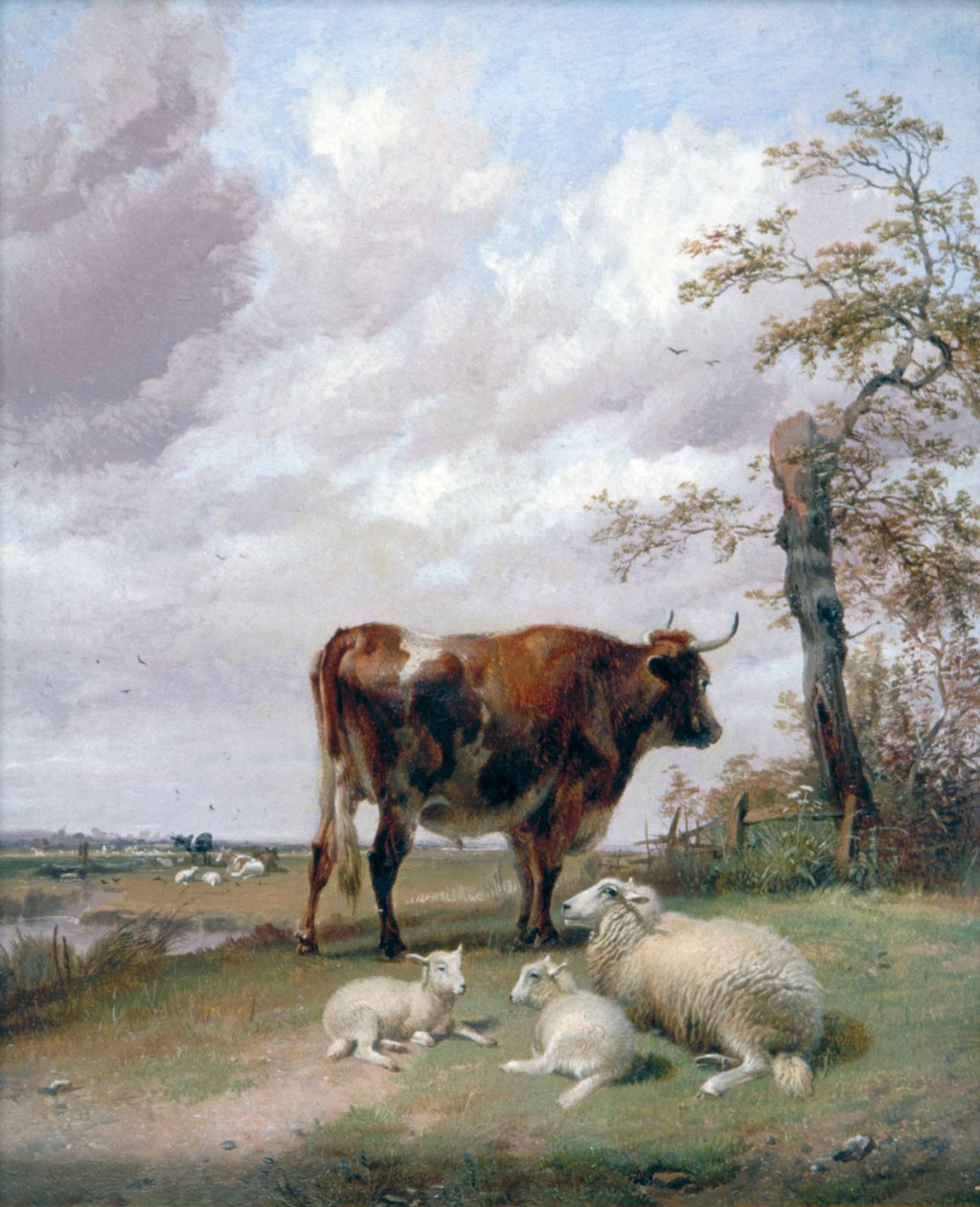 „Łąki Canterbury”, XIX wiek. autorstwa Thomas Sidney Cooper