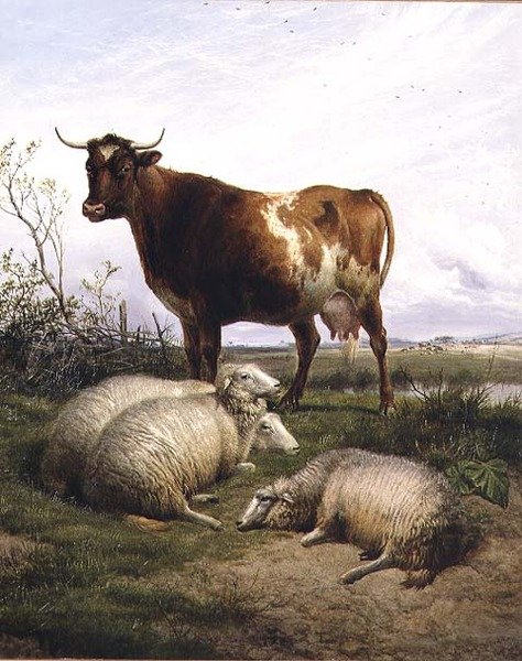 Wypas owiec i krów autorstwa Thomas Sidney Cooper