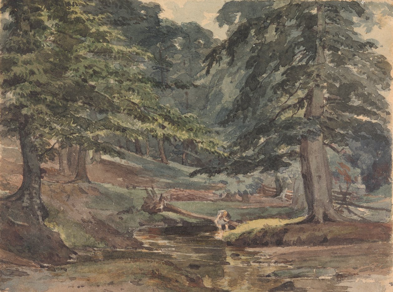 Cenário do rio arborizado autorstwa Thomas Sully