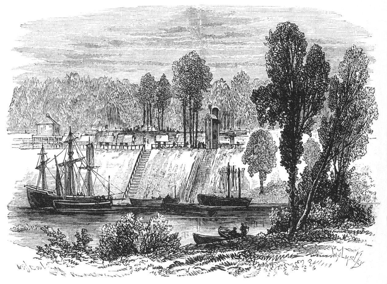 Sawanna, ok. 1880 r autorstwa Thomas Walmsley