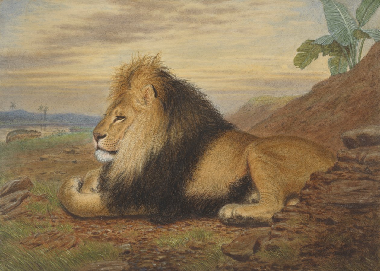 Lew autorstwa Thomas William Wood