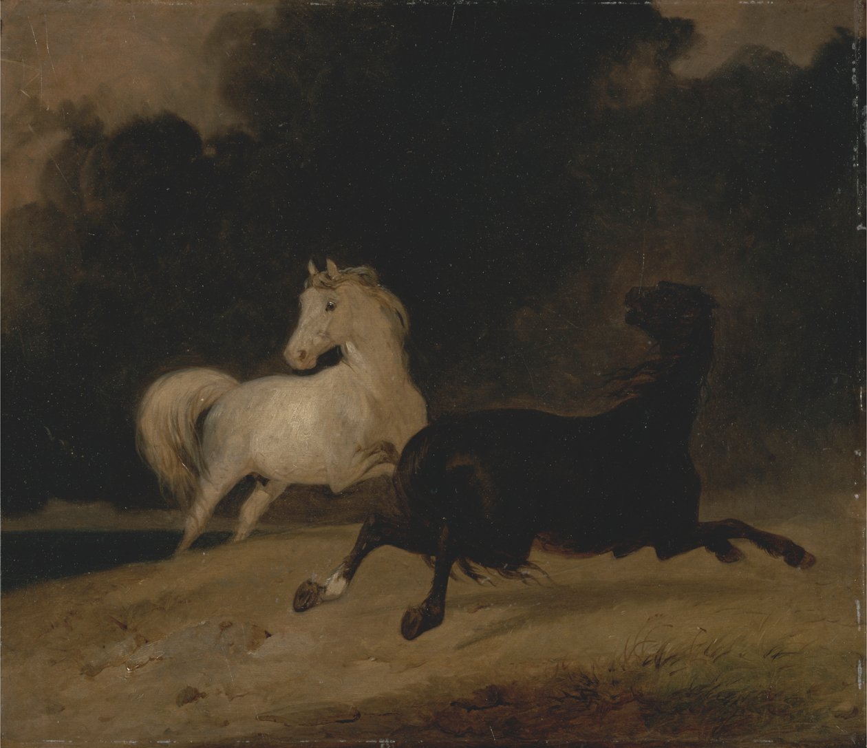 Cavalos em um polonês de tempestade autorstwa Thomas Woodward