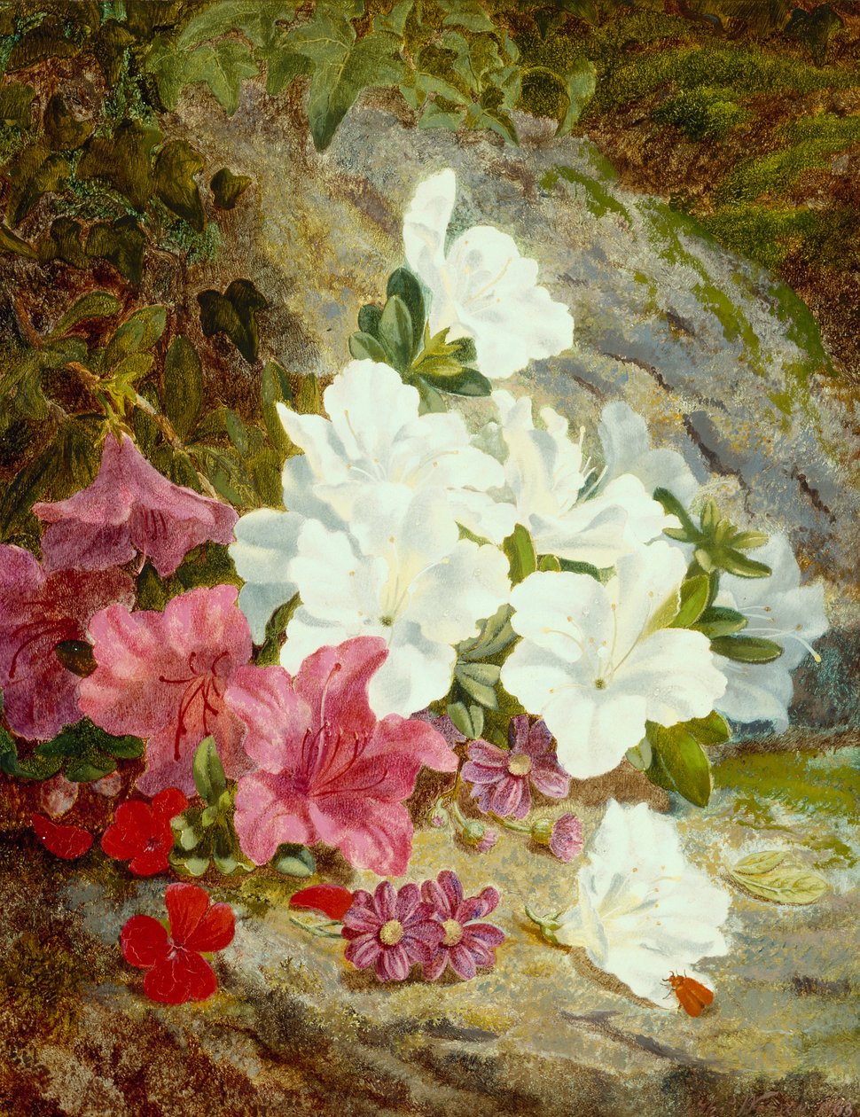 Azalia (olej na płótnie) autorstwa Thomas Worsey