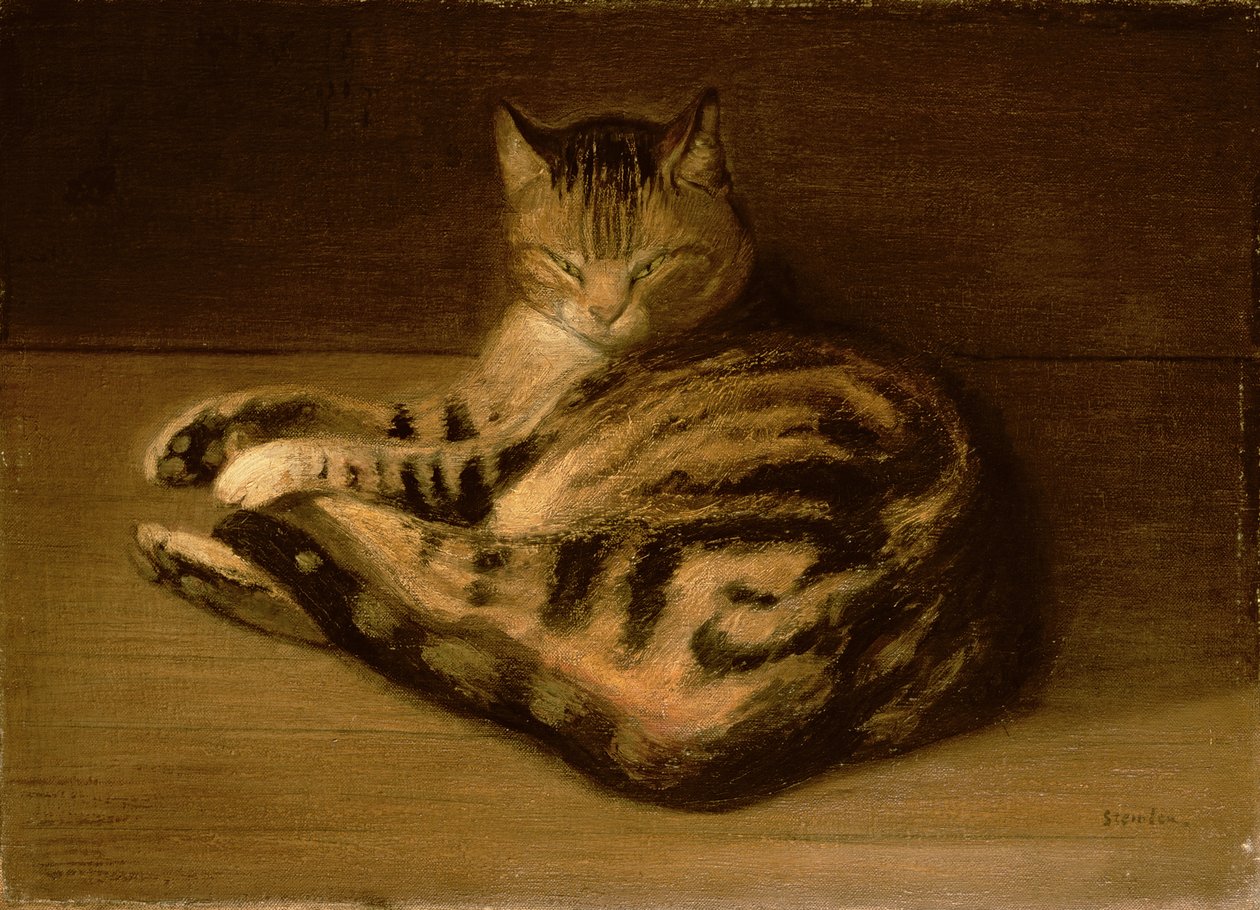Leżący kot, 1898 autorstwa Théophile Alexandre Steinlen