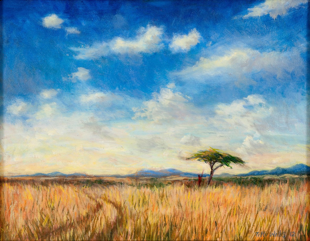 Krajobraz Mary, 2012 autorstwa Tilly Willis