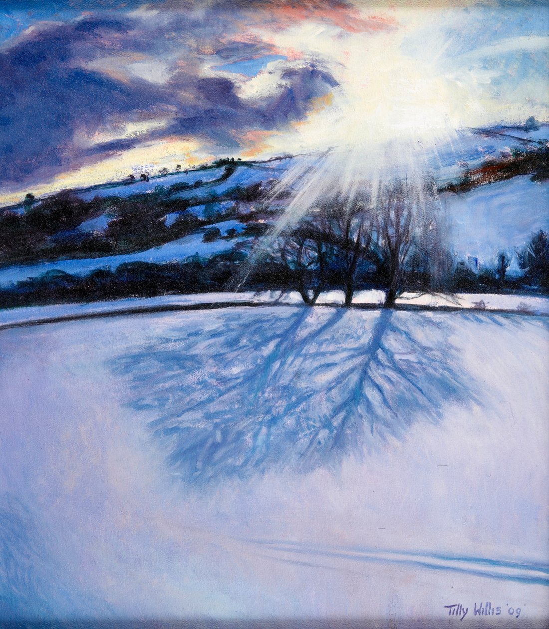 Śnieżne cienie, 2009 autorstwa Tilly Willis