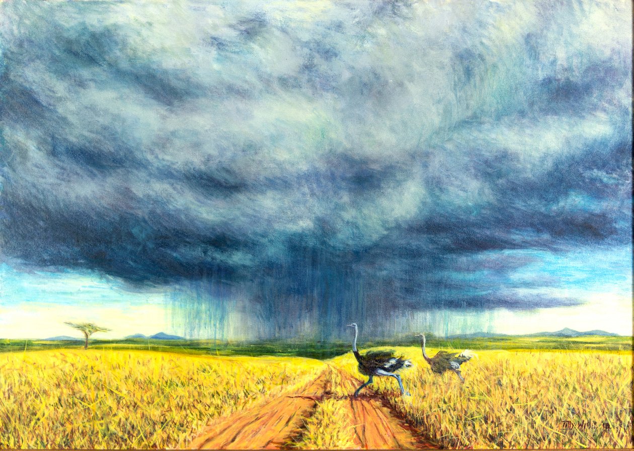Afrykańska burza, 2016, autorstwa Tilly Willis