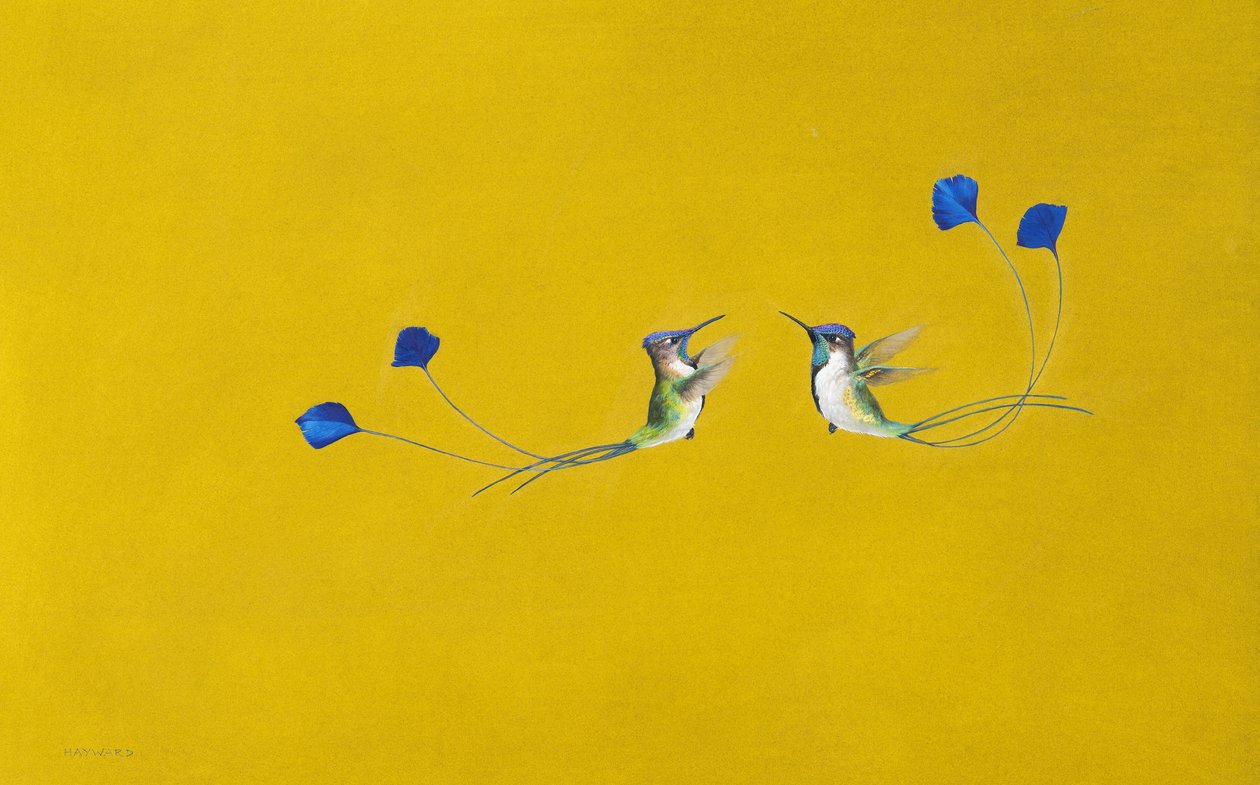 Kolibry ( akwarela i gwasz na papierze ) autorstwa Tim Hayward