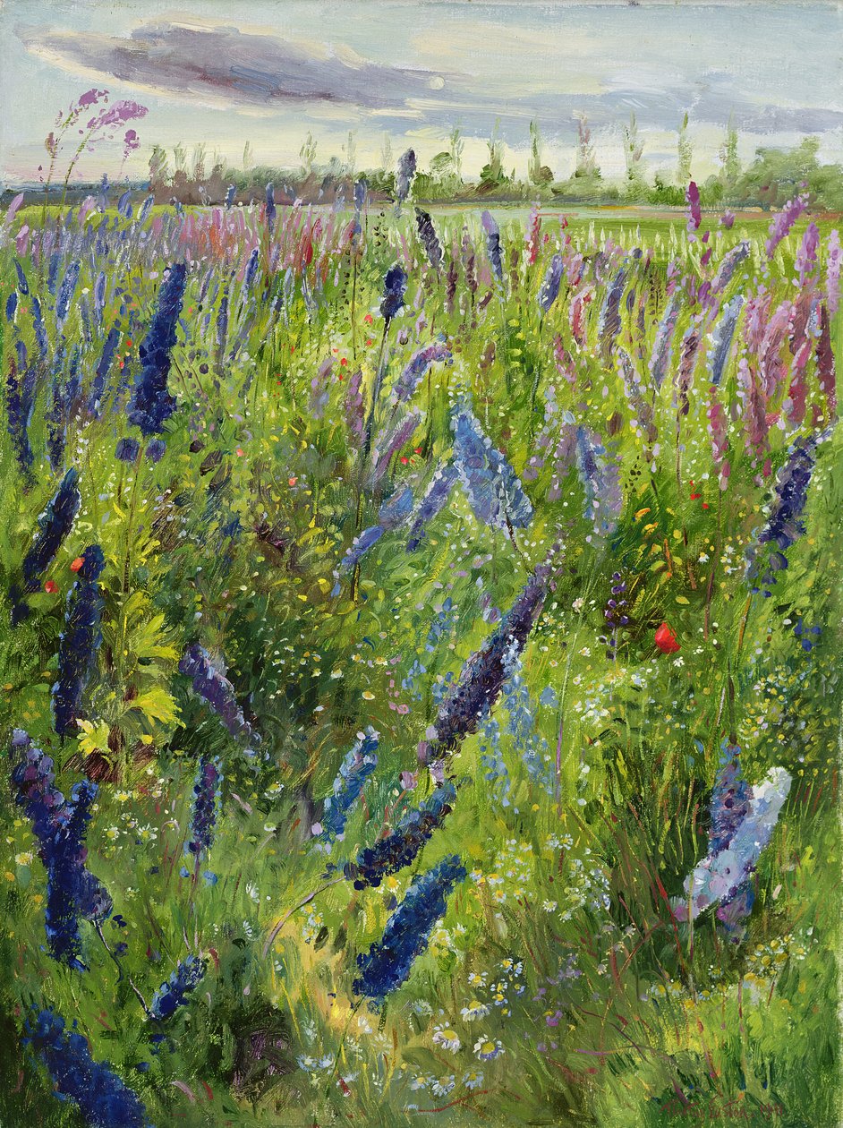 Delphiniums i wschodzące słońce, 1991 autorstwa Timothy Easton
