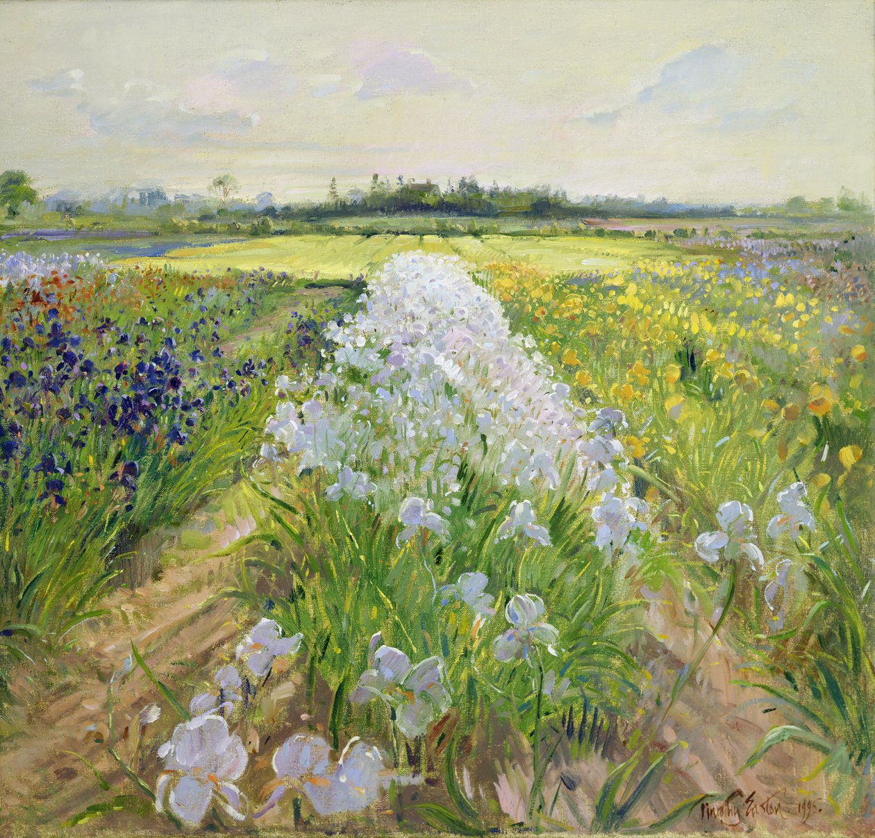W dół linii, 1995 autorstwa Timothy Easton