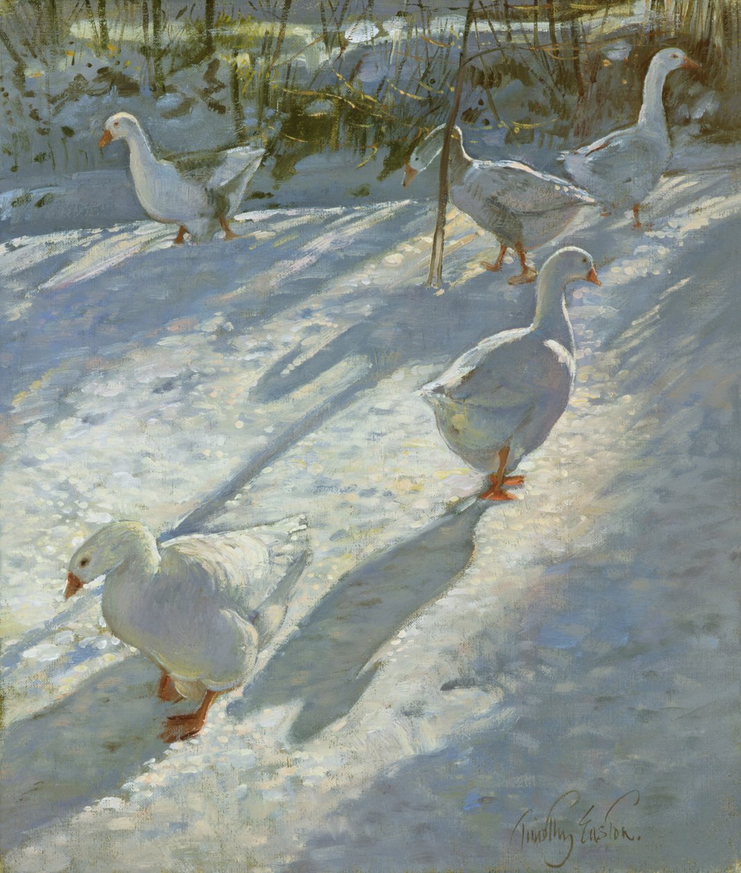 Eksploracja stoku autorstwa Timothy Easton