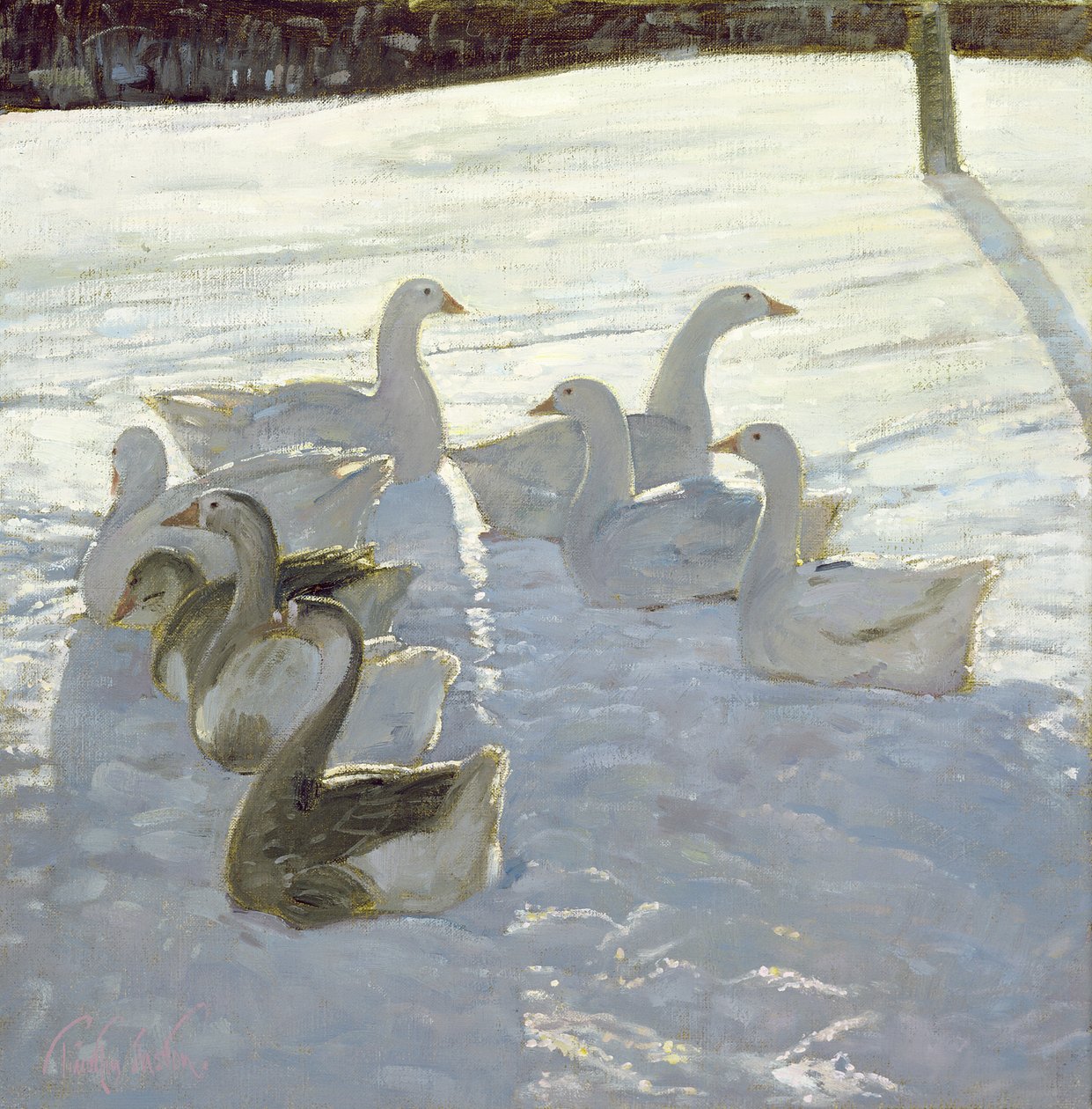 Gęsi pod światło autorstwa Timothy Easton