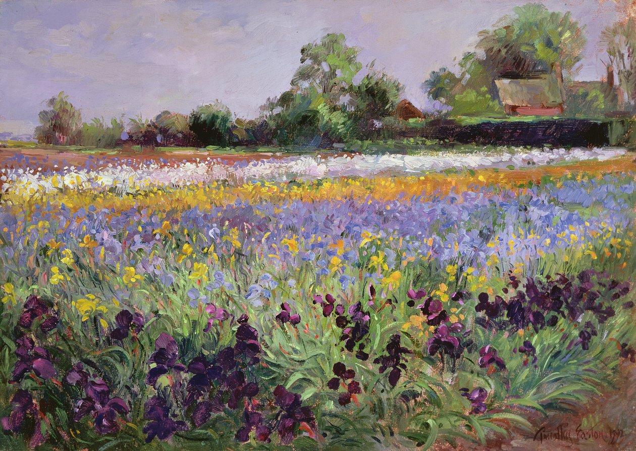 Iris Field i Dwa Domki autorstwa Timothy Easton