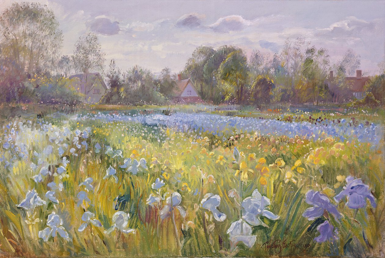 Irysowe pole w wieczornym świetle, 1993 autorstwa Timothy Easton