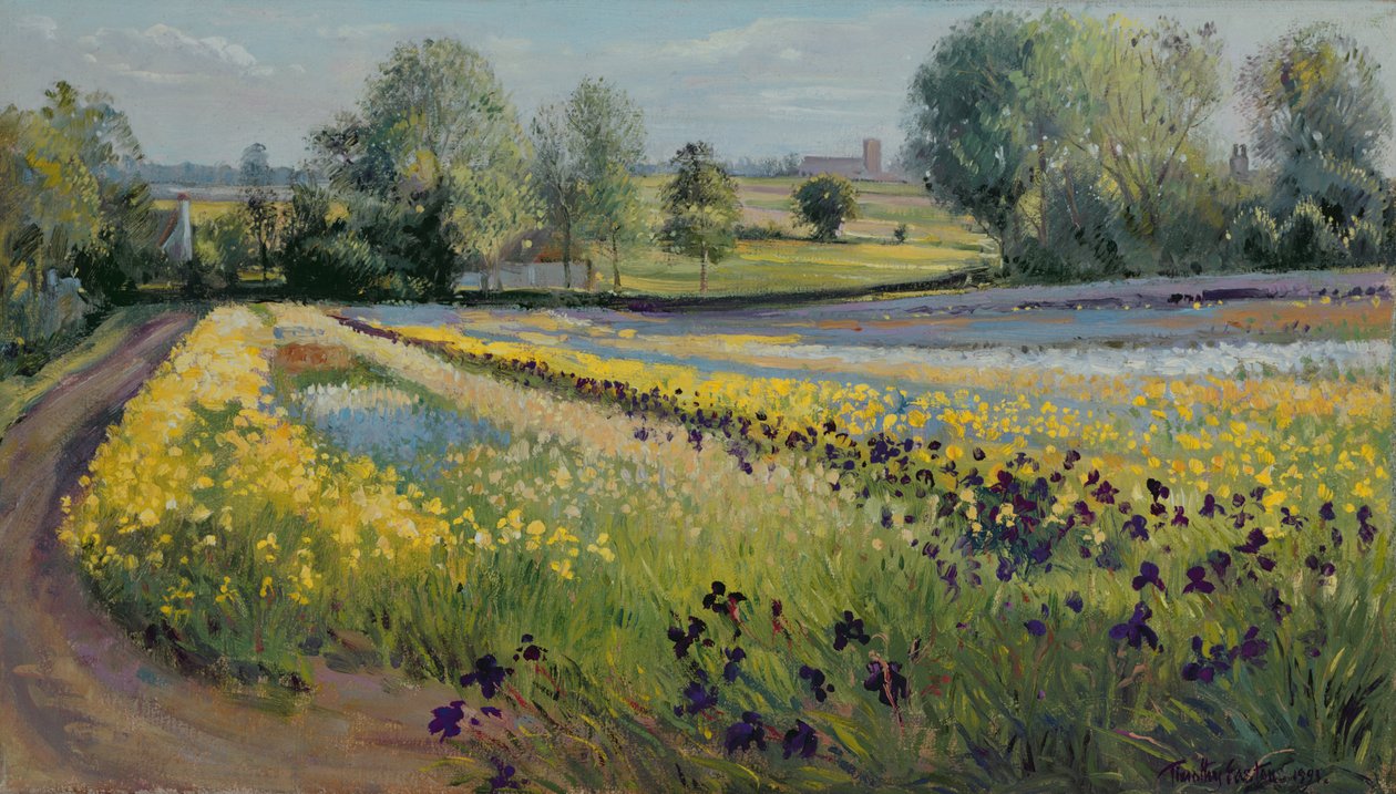 Nachylenie tęczówki, 1991 autorstwa Timothy Easton