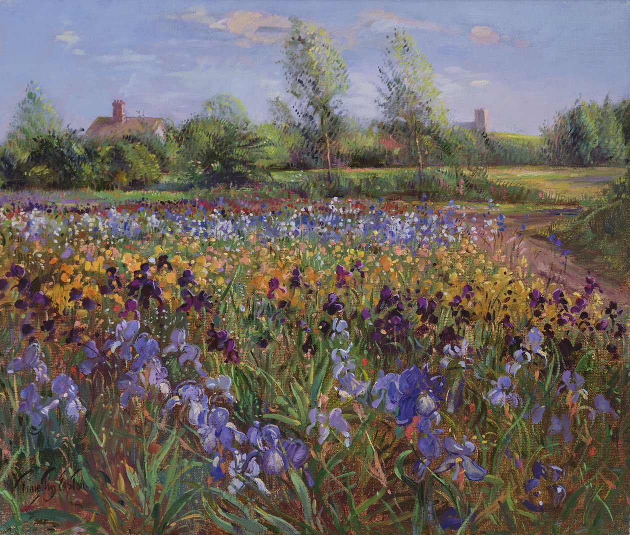 Irysy i Burgate Green autorstwa Timothy Easton