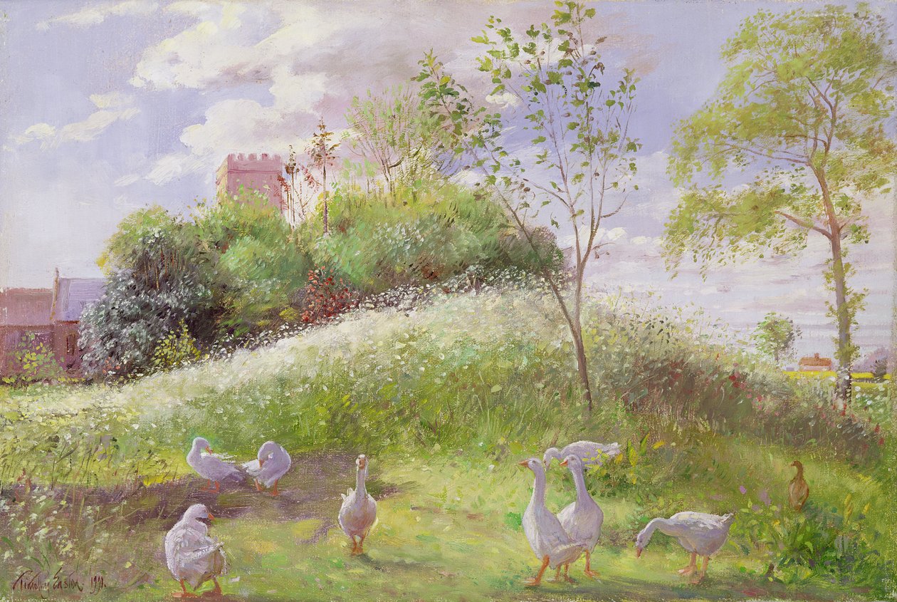 Góra Majowa, 1991 autorstwa Timothy Easton