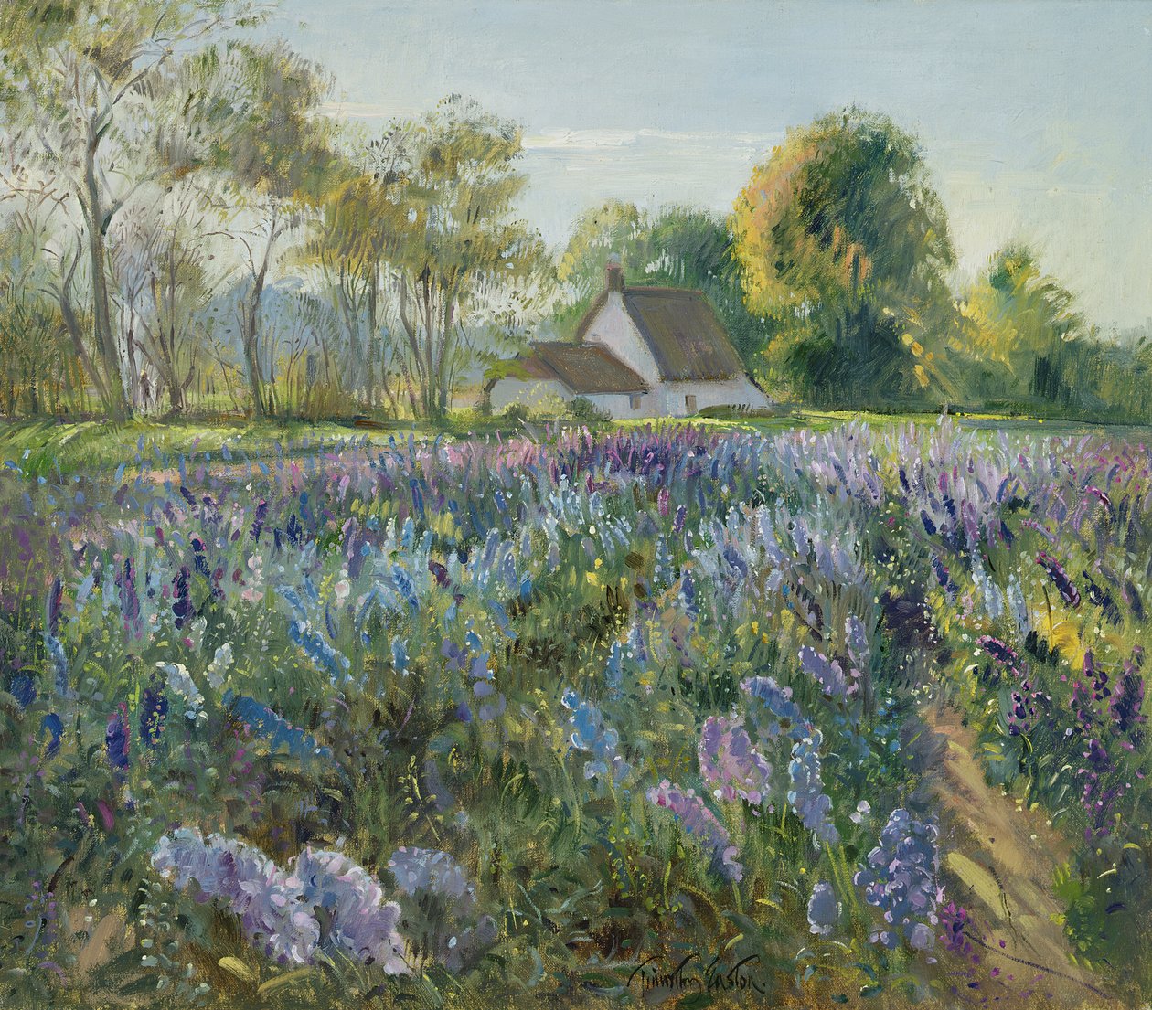 Październikowe delphinium autorstwa Timothy Easton
