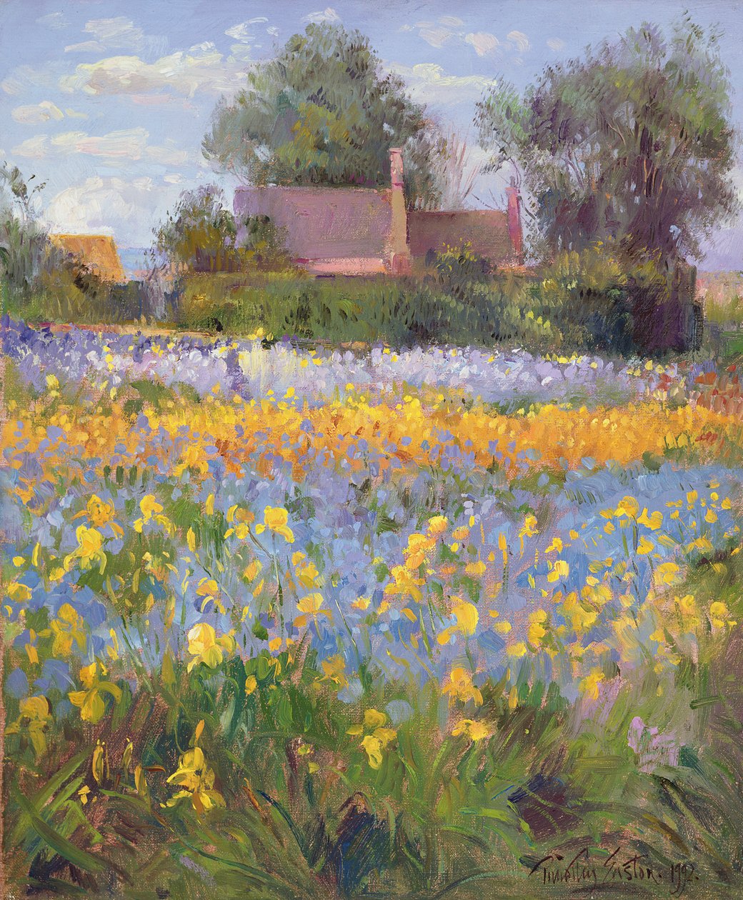 Zamknięte domki na Irysowym Polu autorstwa Timothy Easton
