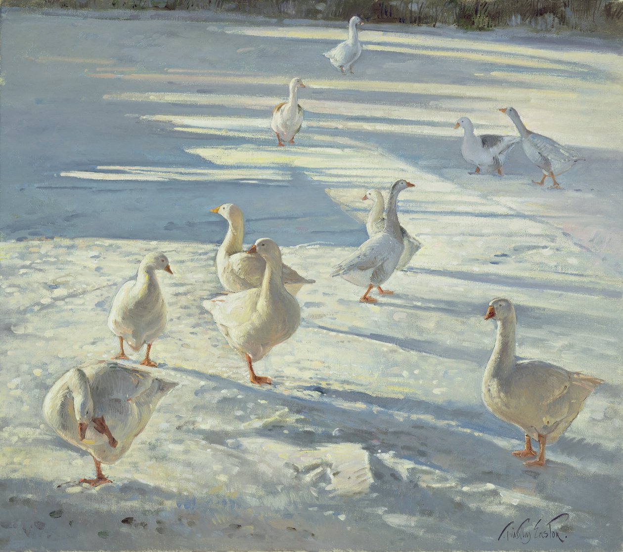 Spotkanie autorstwa Timothy Easton