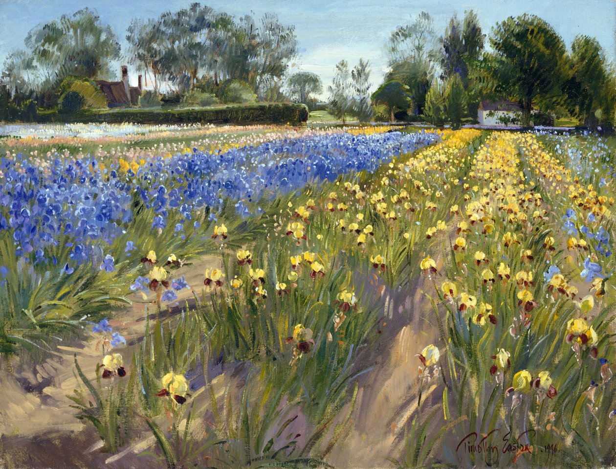 W stronę Białej Stodoły, 1996 autorstwa Timothy Easton
