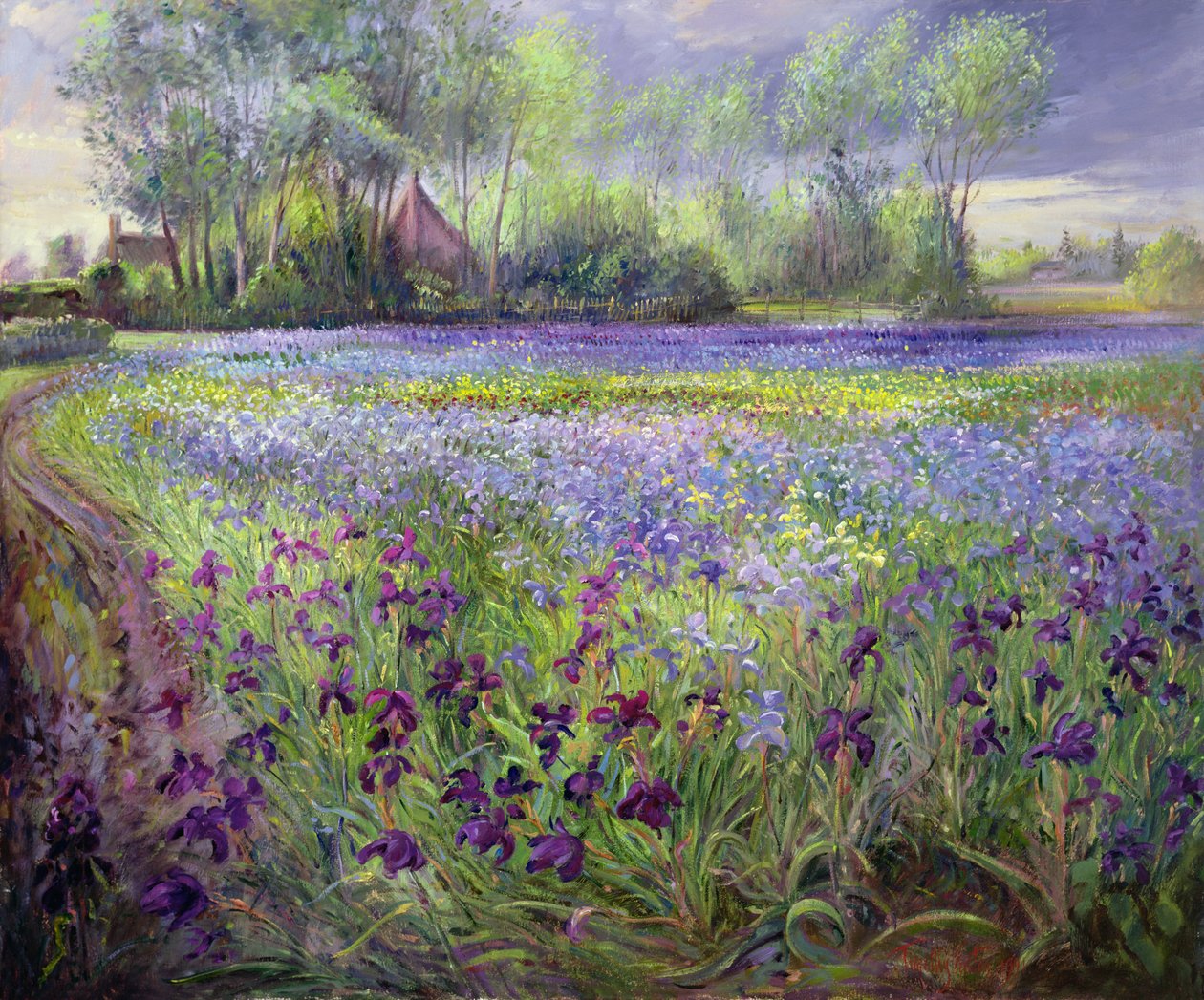 Tor za Iris Field, 1991 autorstwa Timothy Easton