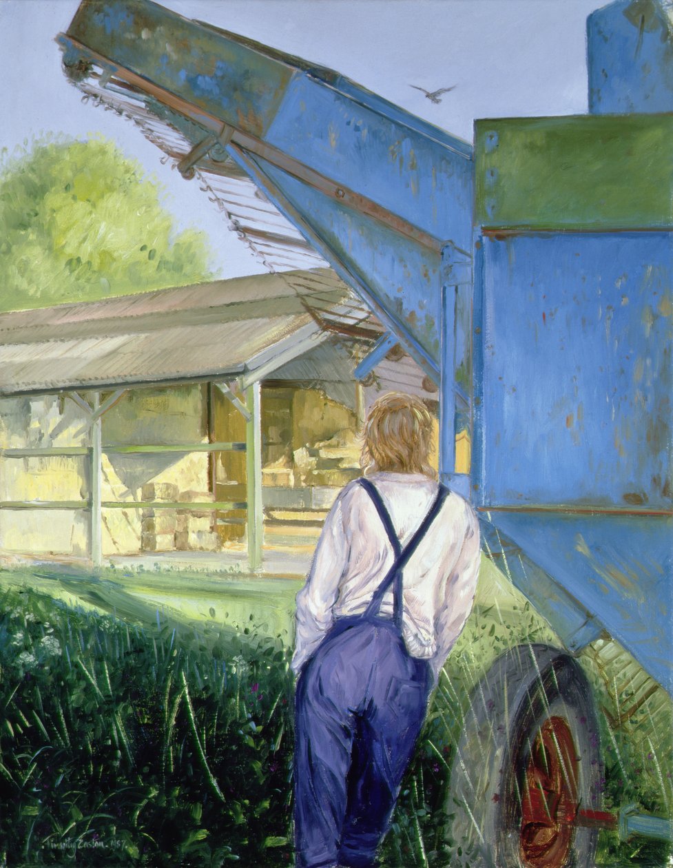 Burak ćwikłowy autorstwa Timothy Easton