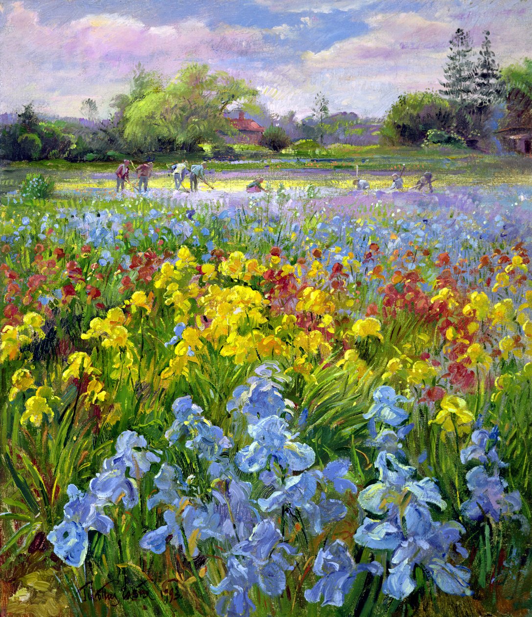 Hoeing Team i Iris Fields autorstwa Timothy Easton