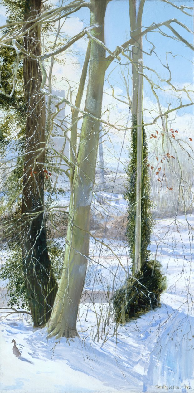 Trzy drzewa w zimie autorstwa Timothy Easton