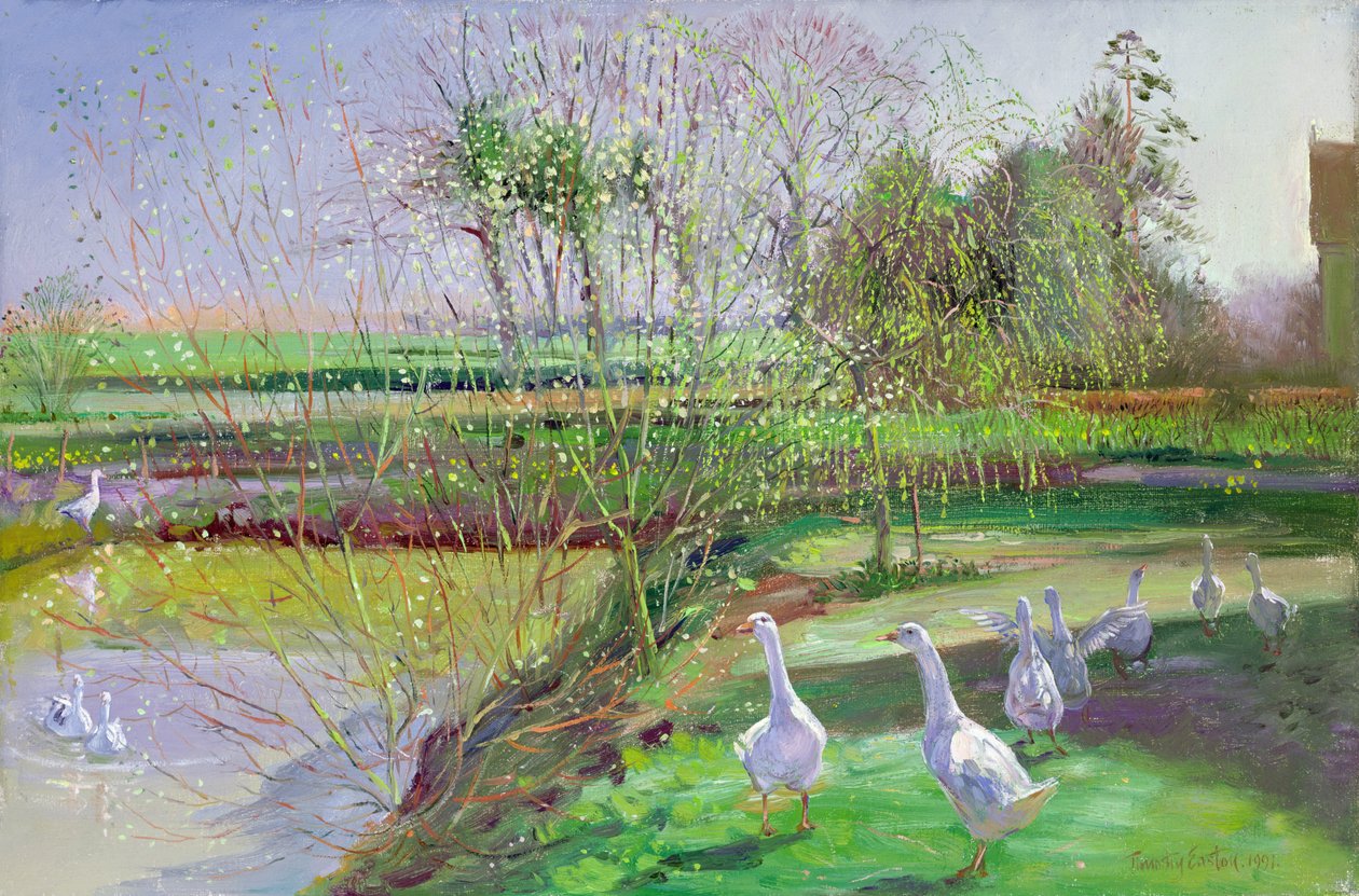 Wierzba i gęsi autorstwa Timothy Easton