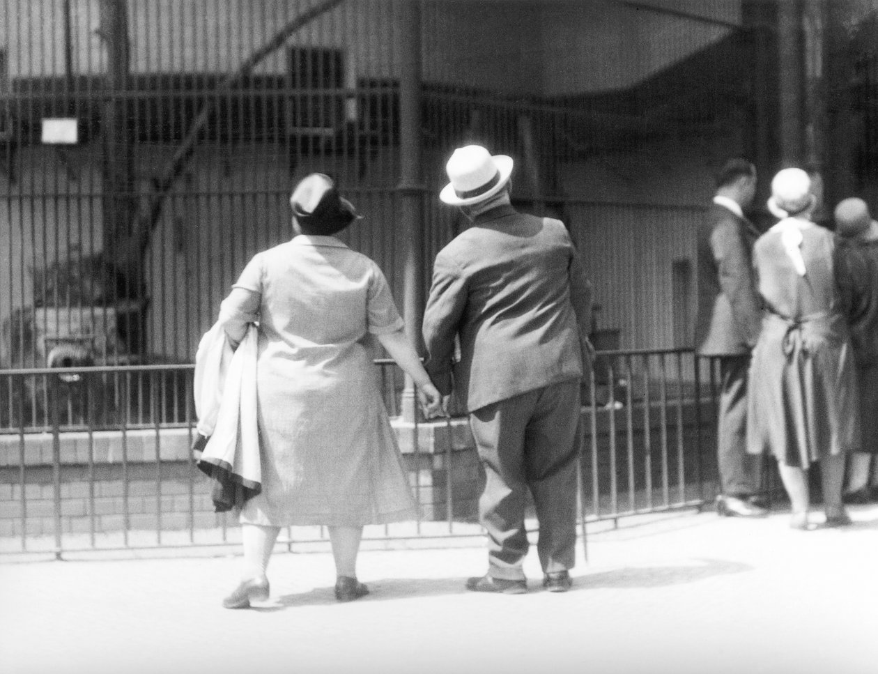 W Ogrodzie Zoologicznym, Berlin, Niemcy, 1930 autorstwa Tina Modotti