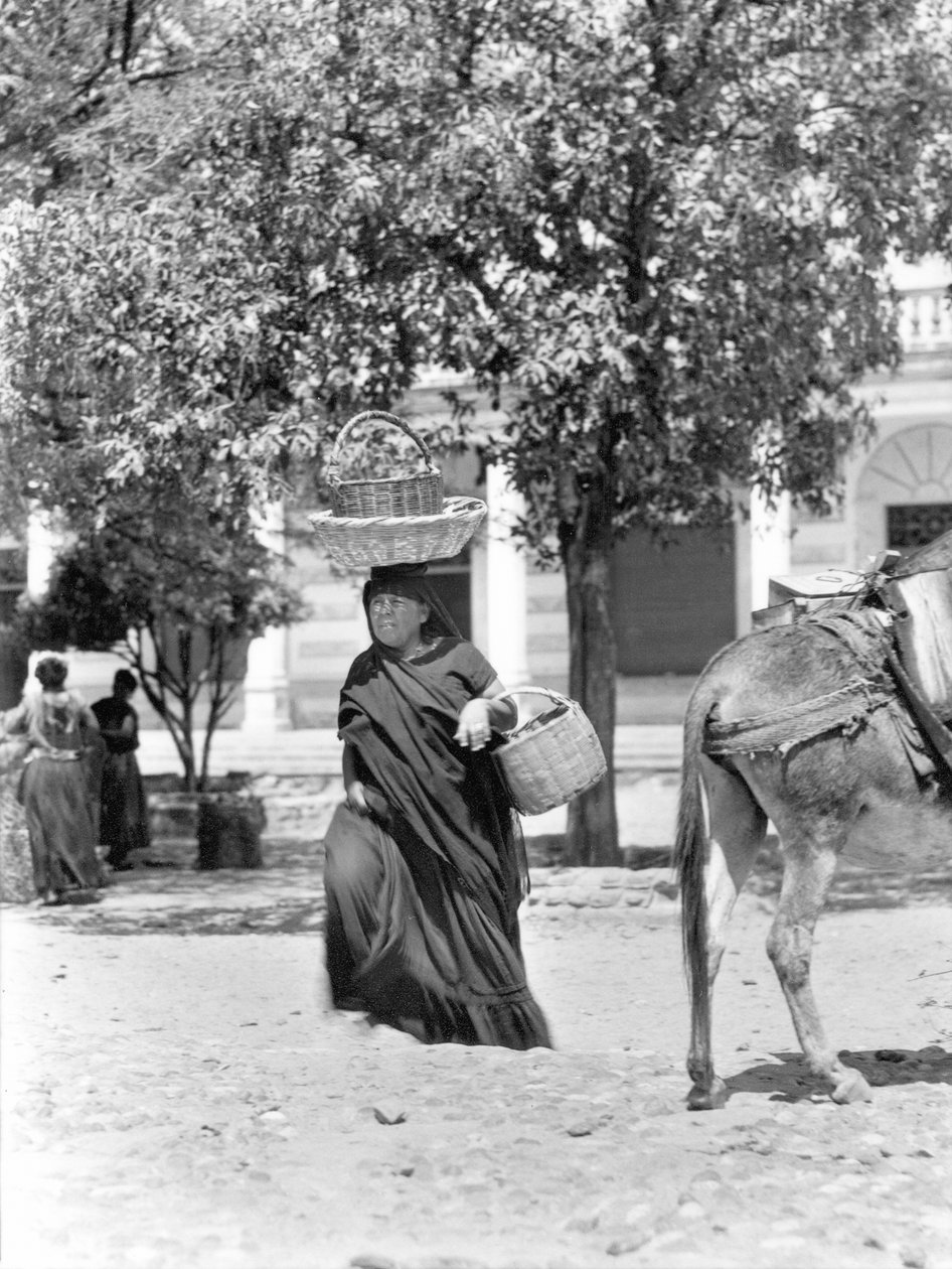 Kobieta w Tehuantepec, Meksyk, 1929 autorstwa Tina Modotti