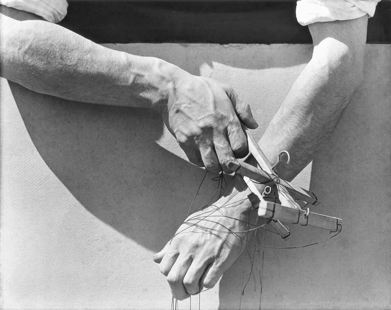 Ręce lalkarza, 1929 autorstwa Tina Modotti