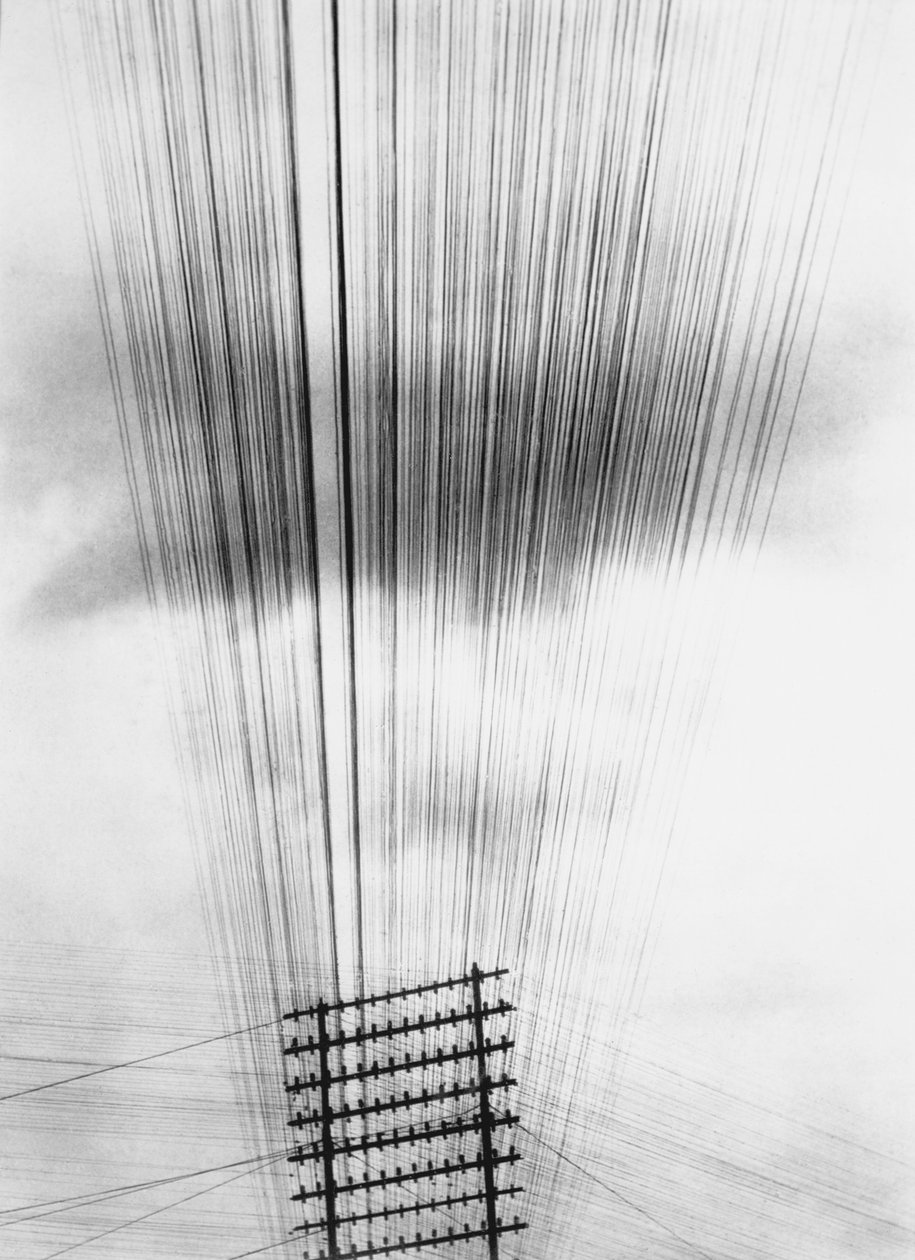 Przewody telefoniczne, Meksyk, 1925 autorstwa Tina Modotti