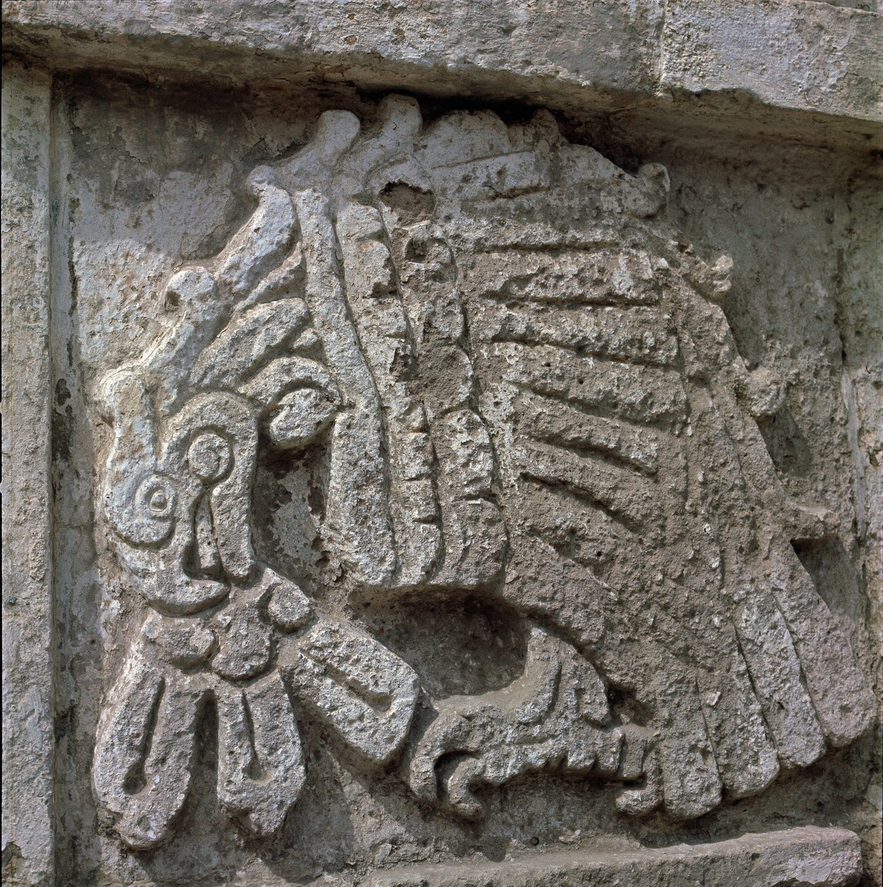 Płaskorzeźba orła, świątynia Quetzalcoatl autorstwa Toltec Toltec