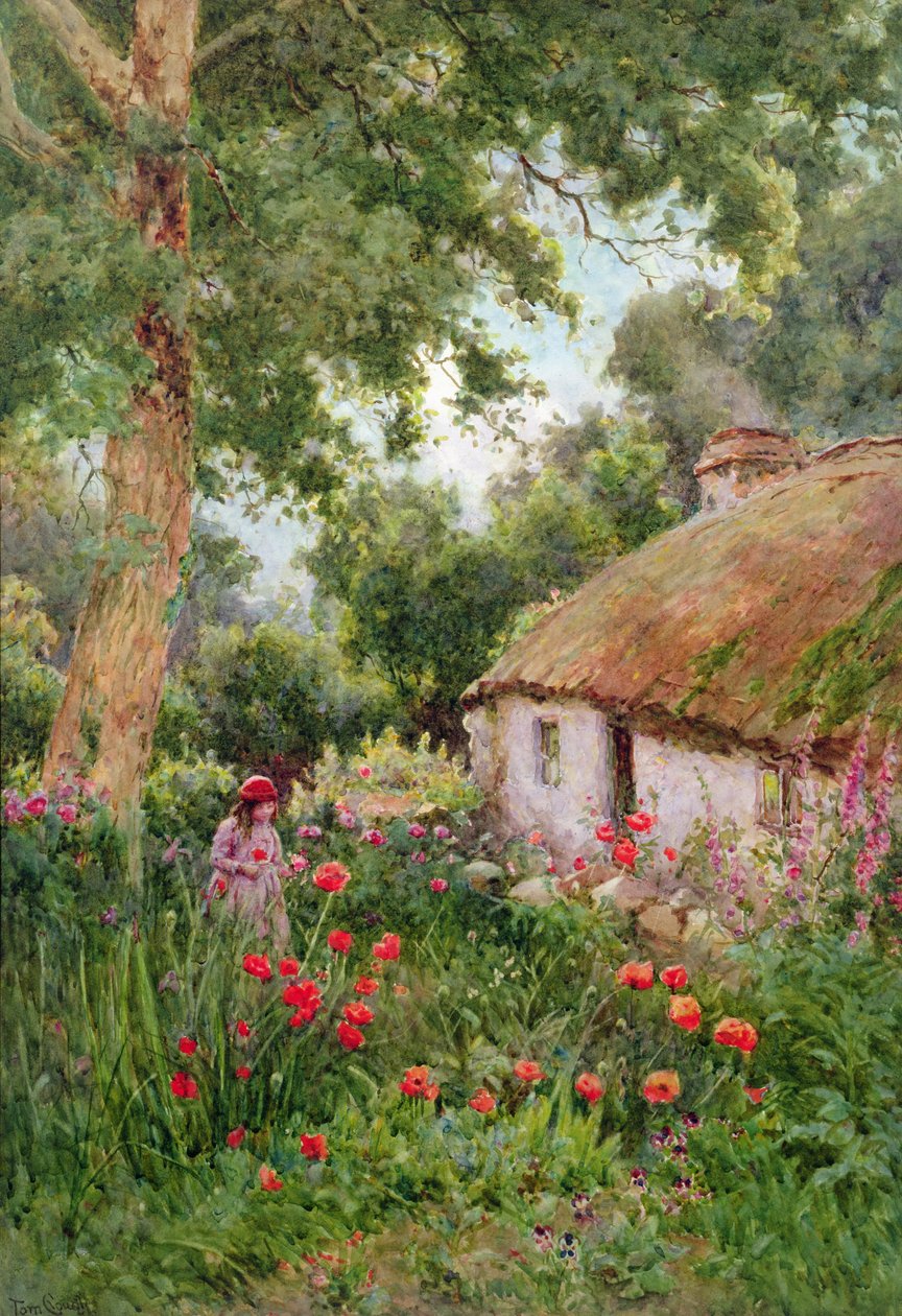Domowy ogród (wc na papierze) autorstwa Tom Clough