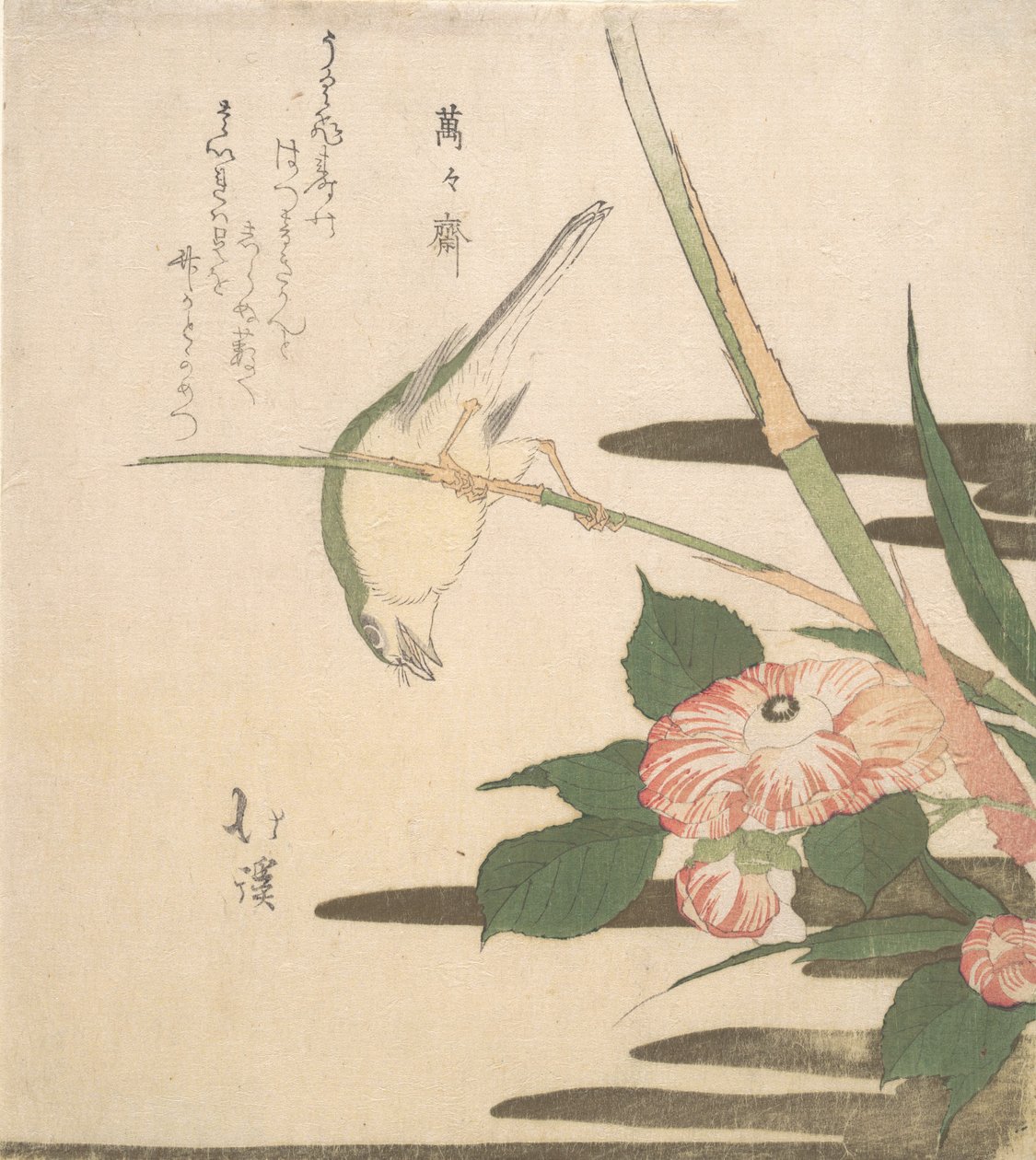 Pokrzewka i Kamelia, ca. 1815-20. autorstwa Totoya Hokkei
