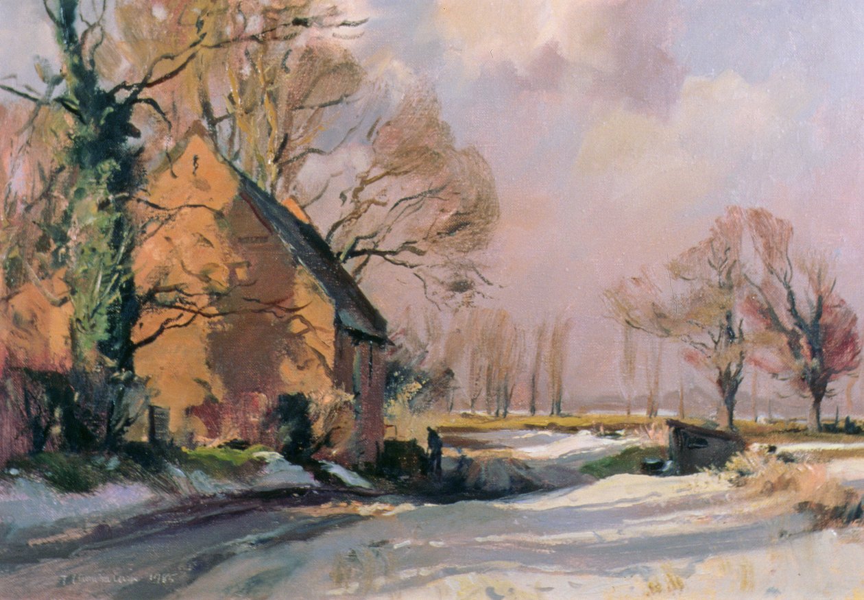 Odwilż w Norfolk, 1985 autorstwa Trevor Chamberlain